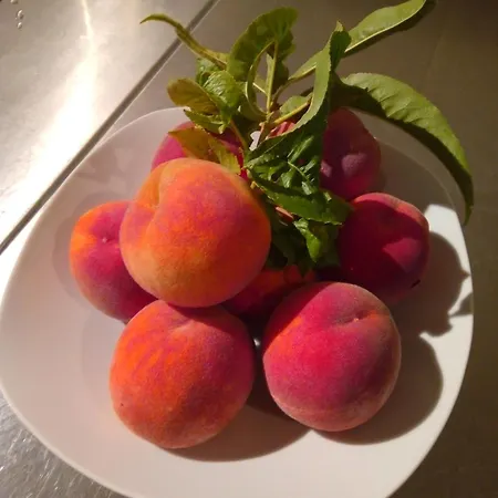 Bairro Do Casal - Turismo D'aldeia