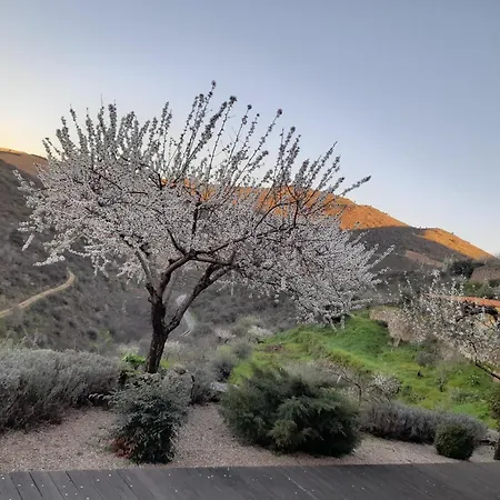 Bairro Do Casal - Turismo D'aldeia בית כפרי *