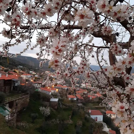 Bairro Do Casal - Turismo D'aldeia