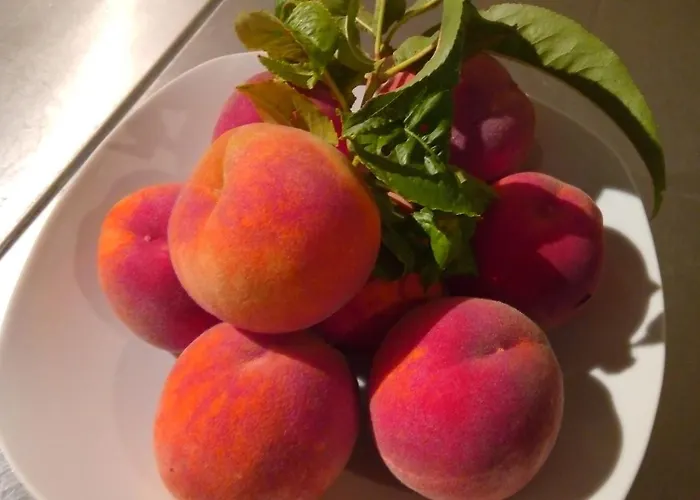 Bairro Do Casal - Turismo D'aldeia