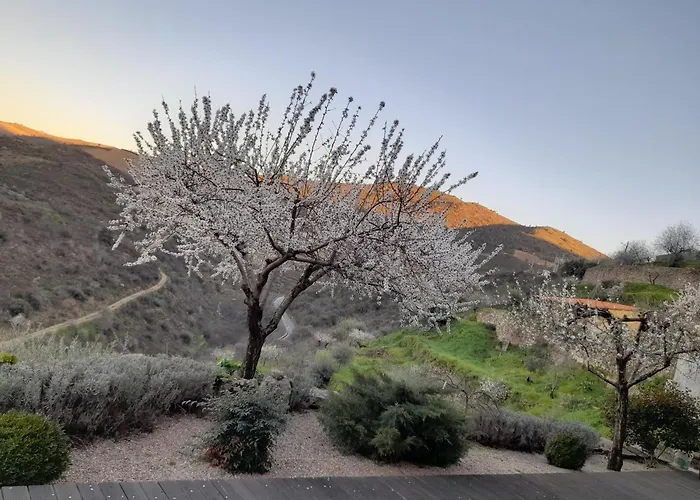 Bairro Do Casal - Turismo D'aldeia Gospodarstwo wiejskie *