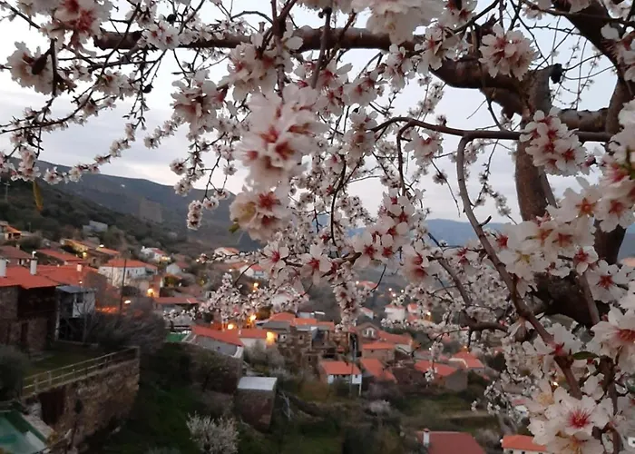 Bairro Do Casal - Turismo D'aldeia